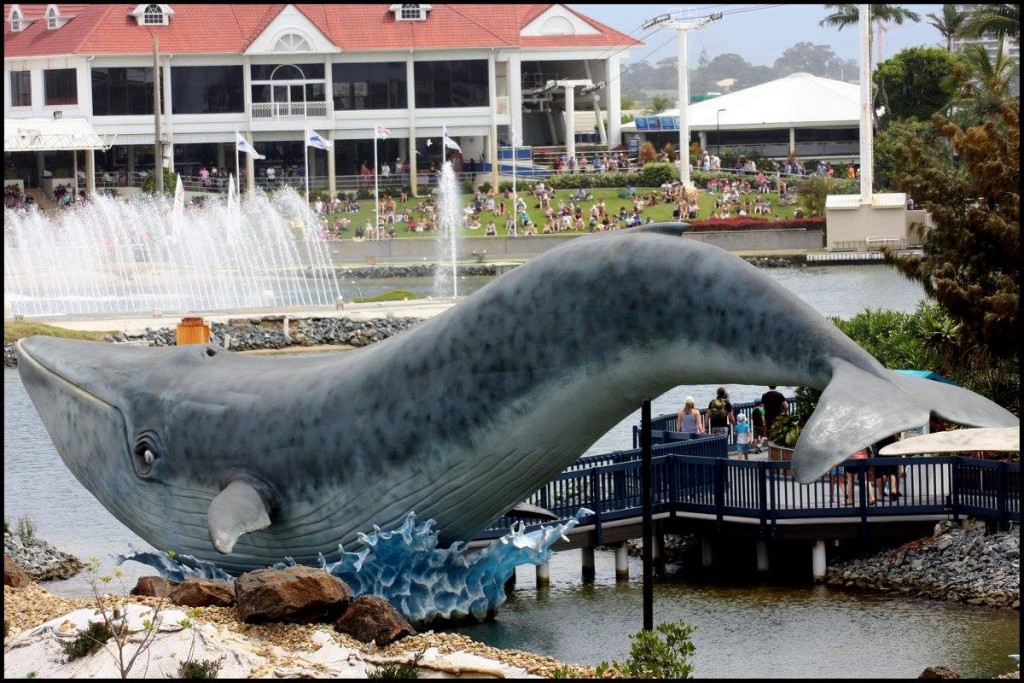 Facility Spotlight Sea World Gold Coast (Australia) Flippers & Feathers
