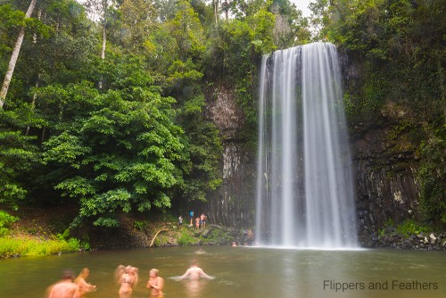MIllaa Millaa Falls, taken while on tour with On The Wallaby (NOT recommended -- review forthcoming)