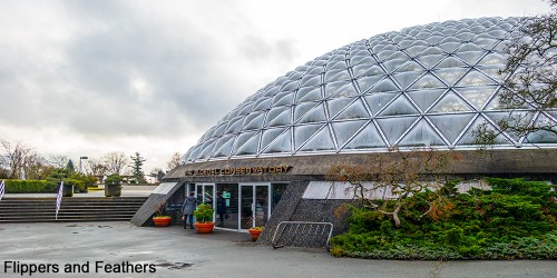 FNF Bloedel 09