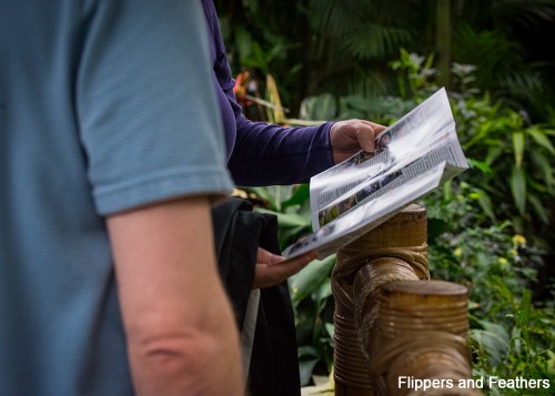 FNF Bloedel 18